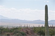 Tucson 2532